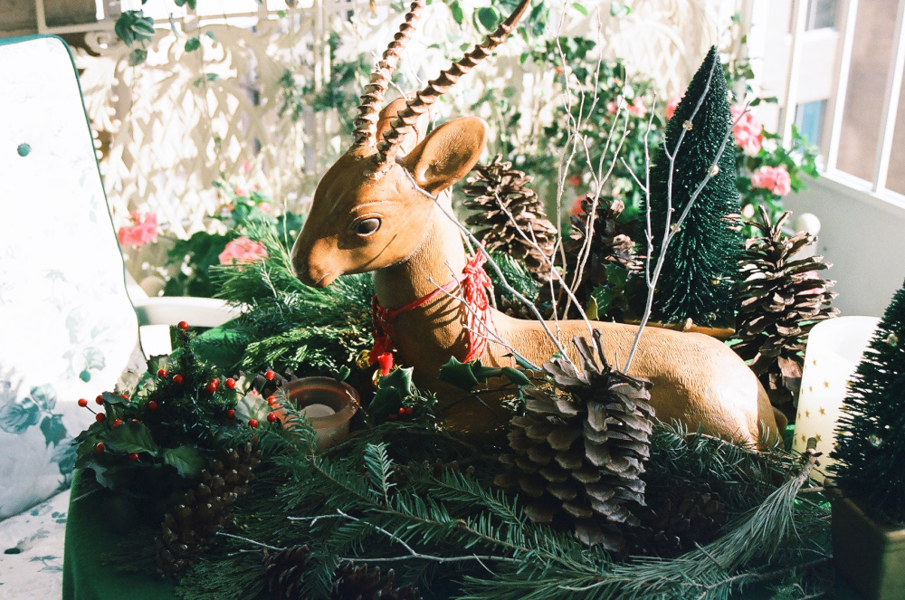 Home for the Holidays at Porto Vecchio